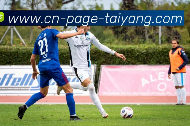 太阳城服务体系